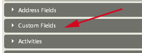 custom fields